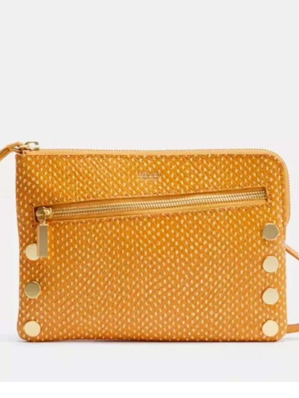 NWT ✅ Hammitt NASH Small 2 Snake Crossbody Bag +Dust Bag & Card NWT